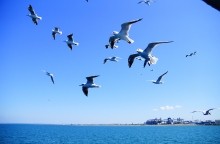 Боспор киммерийский, керченский пролив.