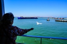 Боспор киммерийский, керченский пролив.