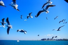 Боспор киммерийский, керченский пролив.