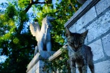 Боспорское царство, его столица Пантикопей и царь Митридат