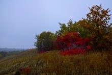 Хутор Морской Чулек - Лукоморье из поэмы Пушкина Руслан и Людмила