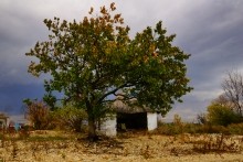 Хутор Морской Чулек - Лукоморье из поэмы Пушкина Руслан и Людмила