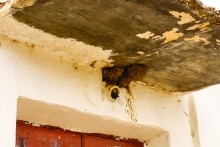 Хутор Морской Чулек - Лукоморье из поэмы Пушкина Руслан и Людмила