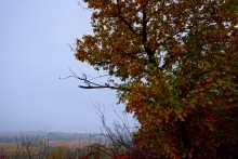 Хутор Морской Чулек - Лукоморье из поэмы Пушкина Руслан и Людмила