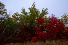 Хутор Морской Чулек - Лукоморье из поэмы Пушкина Руслан и Людмила