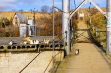 Легенды Белой Калитвы. Авиловы горы и Пигарька.