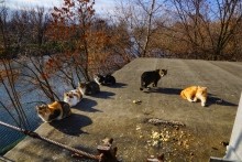 Легенды Белой Калитвы. Авиловы горы и Пигарька.