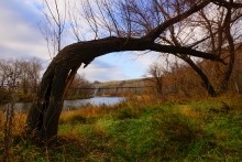 Легенды Белой Калитвы. Авиловы горы и Пигарька.