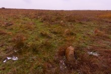 Менгиры у хутора Керчик-Савров на берегу реки Керчик.