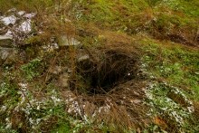 Менгиры у хутора Керчик-Савров на берегу реки Керчик.