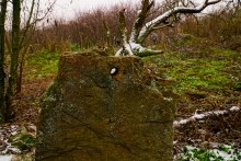 Менгиры у хутора Керчик-Савров на берегу реки Керчик.