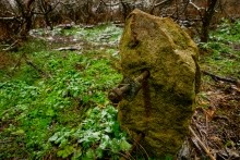 Менгиры у хутора Керчик-Савров на берегу реки Керчик.