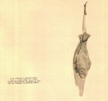 Рисованная повесть о Ростове-на-Дону художника Мосина Анатолия Герасимовича