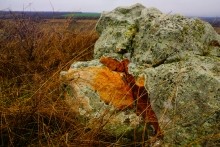 Мастерская каменотесов у хутора Скельновского. Здесь изготавливали каменные катки для молотьбы.