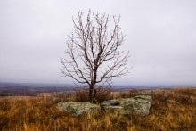 Мастерская каменотесов у хутора Скельновского. Здесь изготавливали каменные катки для молотьбы.