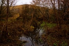 Мастерская каменотесов у хутора Скельновского. Здесь изготавливали каменные катки для молотьбы.