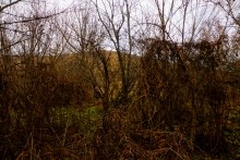 Мастерская каменотесов у хутора Скельновского. Здесь изготавливали каменные катки для молотьбы.