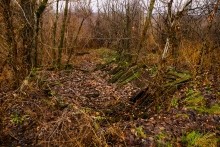 Мастерская каменотесов у хутора Скельновского. Здесь изготавливали каменные катки для молотьбы.