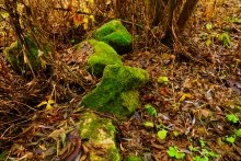 Мастерская каменотесов у хутора Скельновского. Здесь изготавливали каменные катки для молотьбы.