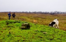 Мастерская каменотесов у хутора Скельновского. Здесь изготавливали каменные катки для молотьбы.