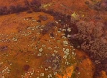 Петроглифы у хутора Скельновский