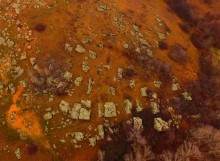 Петроглифы у хутора Скельновский