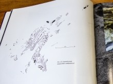 Петроглифы у хутора Скельновский