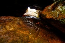 Петроглифы у хутора Скельновский