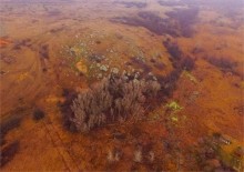 Петроглифы у хутора Скельновский