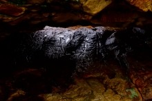 Петроглифы у хутора Скельновский