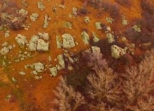 Петроглифы у хутора Скельновский