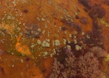 Петроглифы у хутора Скельновский