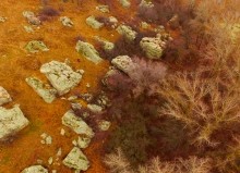 Петроглифы у хутора Скельновский