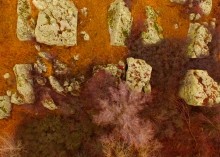 Петроглифы у хутора Скельновский