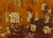 Петроглифы у хутора Скельновский