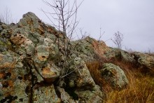 Петроглифы у хутора Скельновский