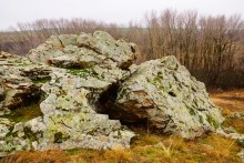 Петроглифы у хутора Скельновский