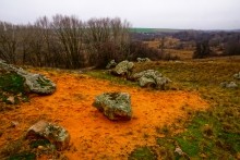 Петроглифы у хутора Скельновский