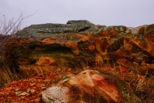 Петроглифы у хутора Скельновский