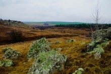 Петроглифы у хутора Скельновский