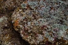 Путешествие к метеориту у станицы Калитвенской на берегу Северского Донца.