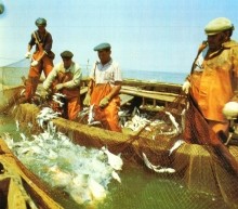 Фотоальбом "Земля Донская" Ростов-на-Дону 1995 г.