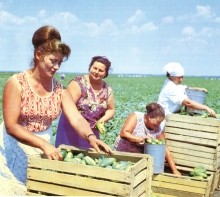 Фотоальбом "Земля Донская" Ростов-на-Дону 1995 г.