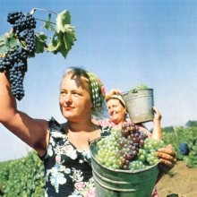 Фотоальбом "Земля Донская" Ростов-на-Дону 1995 г.