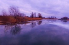 Кагальник в февраре у села Васильево-Шамшево
