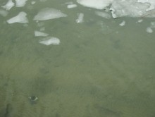 Утонувший чайник