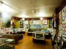 Имение Шамшевых на Кагальнике