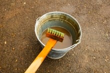 Имение Шамшевых на Кагальнике