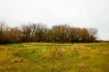 Имение Шамшевых на Кагальнике