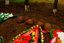 Имение Шамшевых на Кагальнике